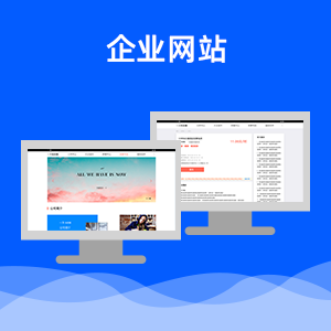 企业网站定制开发