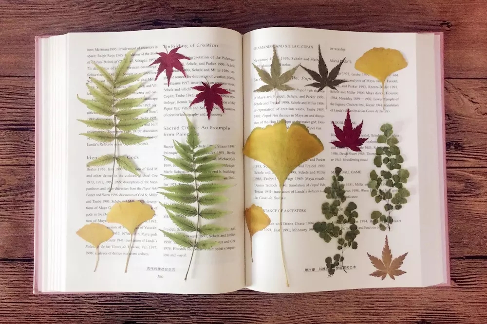 季节植物日历制作