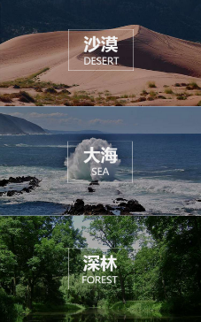 微传单页面设计都有哪些类型?