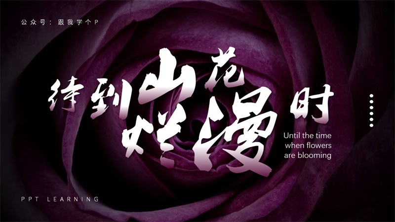 PPT文字设计