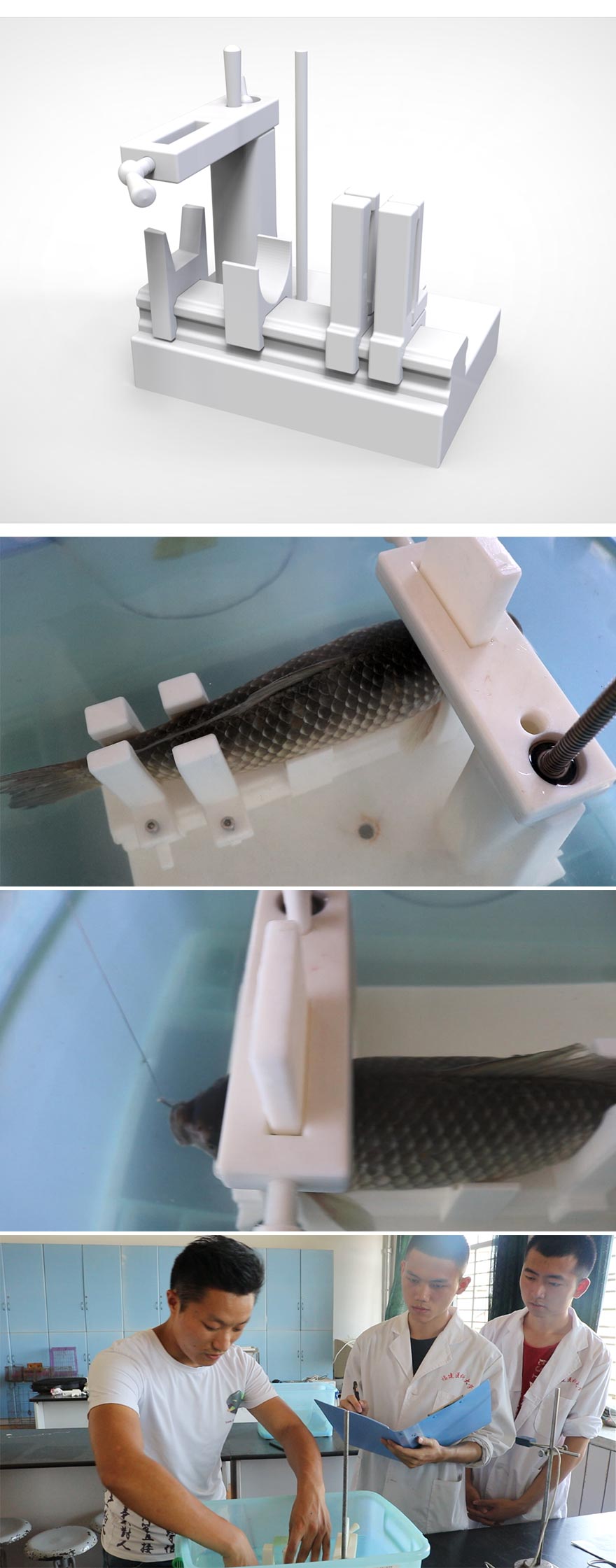 用于鱼类呼吸运动描记的鱼类固定器产品设计