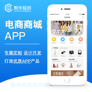 电商商城APP专业定制开发