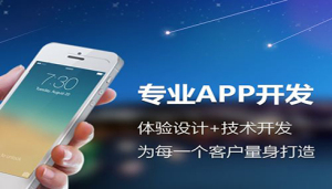 APP定制开发