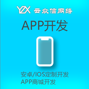 APP开发