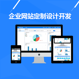 企业网站定制设计开发