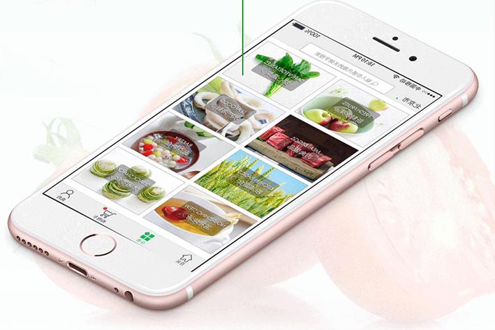 生鲜果蔬电商APP开发