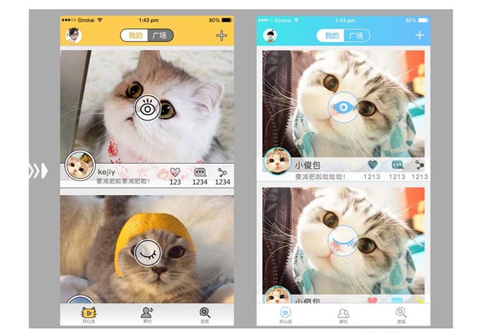 宠物猫APP开发