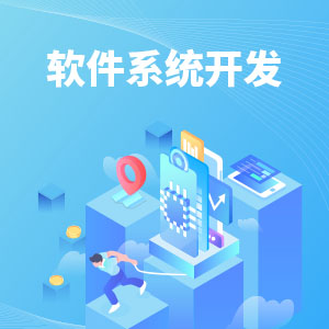 软件系统