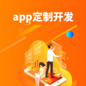 APP定制开发