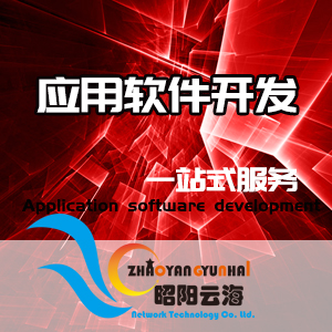 应用软件开发