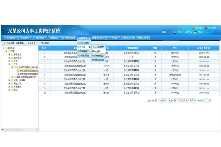 企业工资管理软件开发