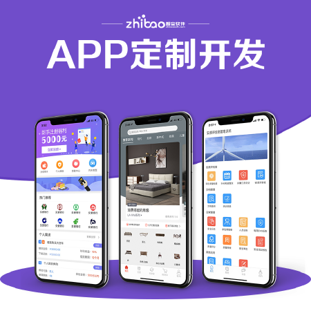 APP定制开发