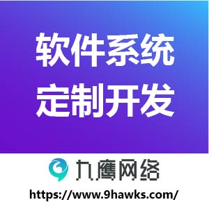 软件工具定制开发