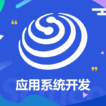 应用系统开发