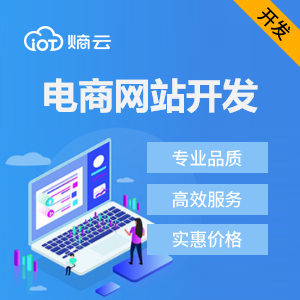 网站开发/电商网站开发