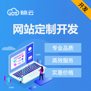 网站开发/网站定制