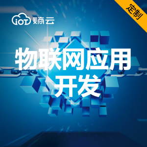 物联网应用开发/IOT