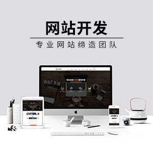 网站开发