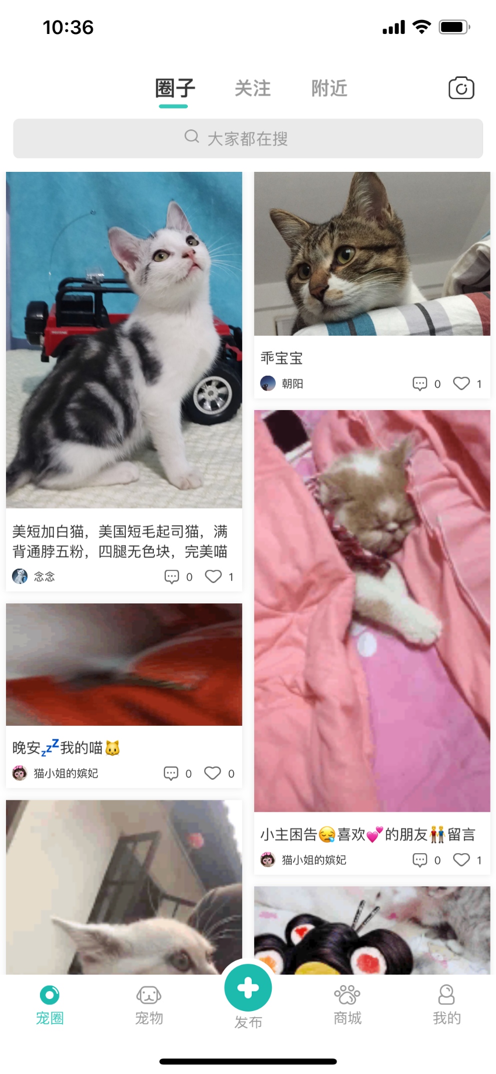 “宠都”移动端