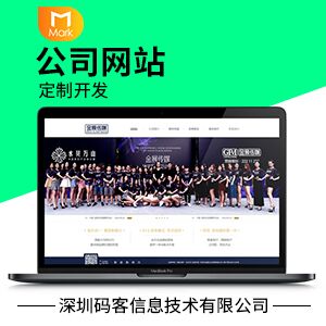 企业官网开发