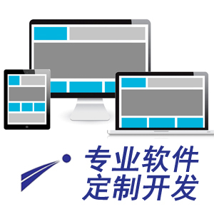 软件定做定制分析软件开发程序对接计划方案