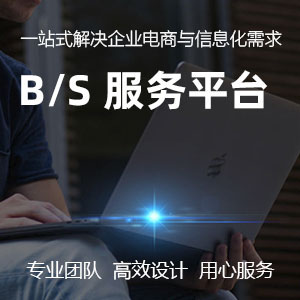 B/S架构管理系统、管理平台开发