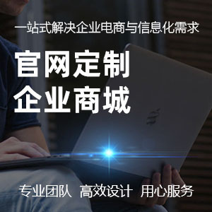 企业官网、品牌网站高端定制