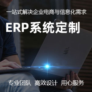 企业ERP系统、设计、开发、实施，全方位定制