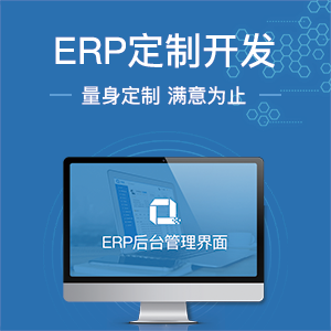 ERP定制