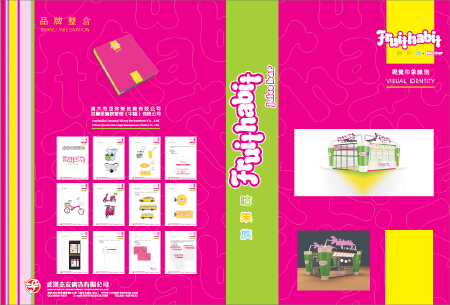 企事业单位视觉传达系统设计VIS