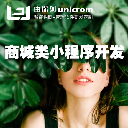 【电商系列】电商网站 商城网站 电商小程序 购物网站建设开发