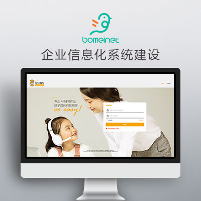 企业信息化系统建设