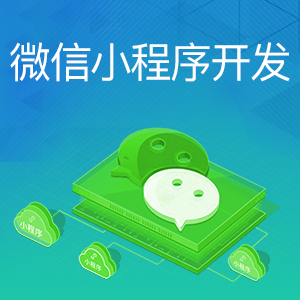 微信小程序定制开发/微信h5开发/微信公众平台开发/微网站开发
