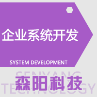 管理系统定制开发|酒店系统|教育系统|商城系统