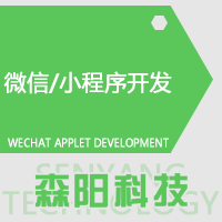 小程序开发|微信开发|网站定制|H5开发|商城小程序