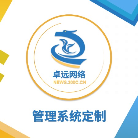 管理系统定制 erp系统 OA系统