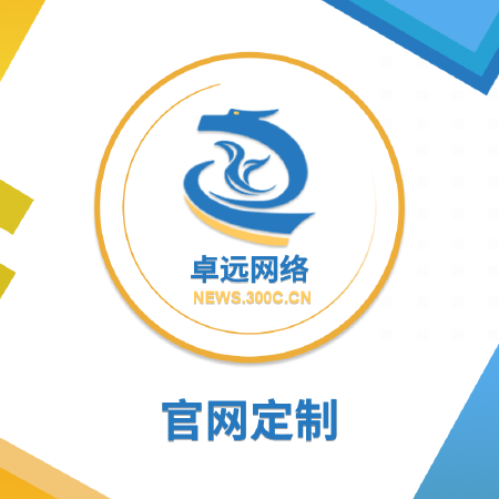 官网定制开发 高端企业官网 众包网站