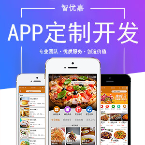 APP定制开发