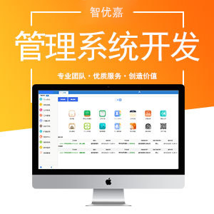 管理系统开发