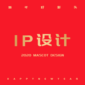 IP设计