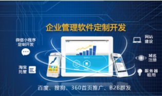 项目化现场督办管理软件开发