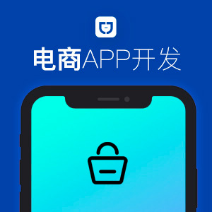 B2C商城 B2B2C商城 电商APP开发