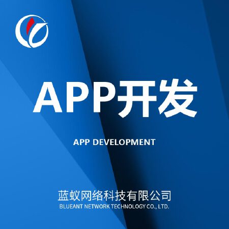 APP软件定制开发