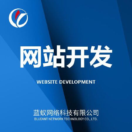 企业网站电商网站综合网站开发