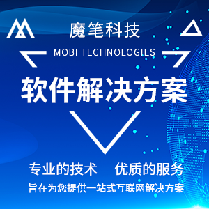 软件解决方案，客户提供痛点，我们提供针对性的解决方案