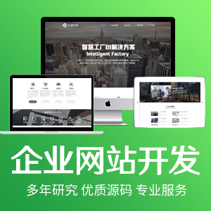 企业网站开发