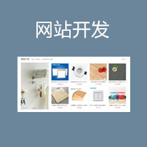 网站开发