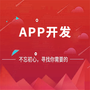 APP开发