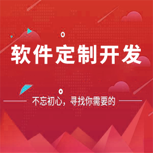 软件定制开发