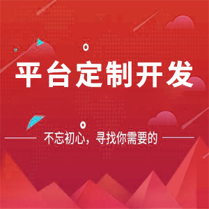 平台定制开发